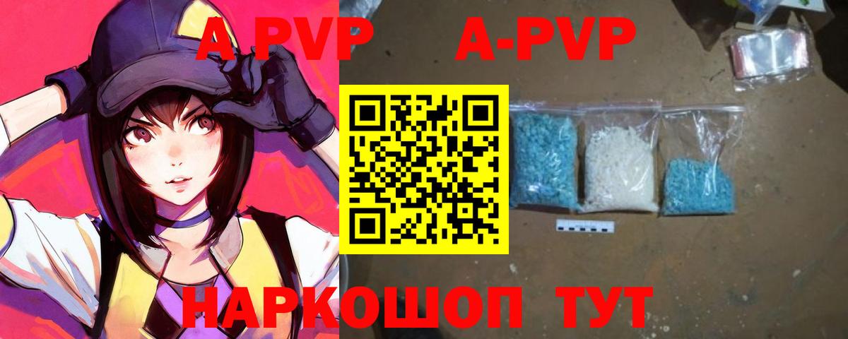 Альфа ПВП СК КРИС Кандалакша