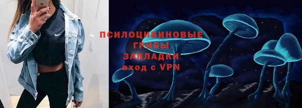 Альфа ПВП Пролетарск