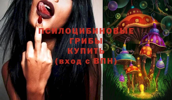амф Абинск