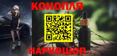 PSILOCYBIN Камышлов