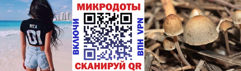 Псилоцибиновые грибы Magic Shrooms Кандалакша