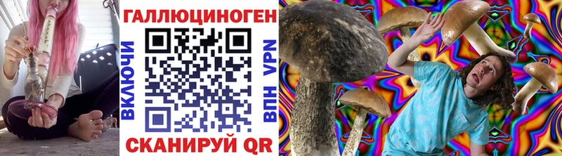 Галлюциногенные грибы Magic Shrooms  как найти   Кандалакша 